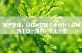 精选整理，现在网贷哪个平台好下款网贷平台一览表，拿走不谢
