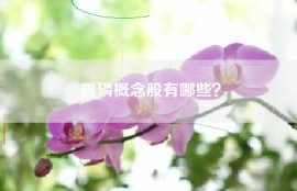 黑磷概念股有哪些？