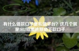 有什么借款口子是私借平台？这几个就是2022双黑逾期必下款口子