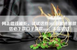 网上借钱被拒，试试这些2022双黑逾期微信必下款口子贷款app，不容错过