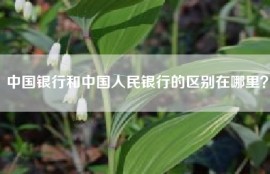 中国银行和中国人民银行的区别在哪里？