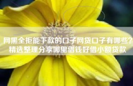 网黑全拒能下款的口子网贷口子有哪些？精选整理分享哪里借钱好借小额贷款