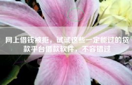 网上借钱被拒，试试这些一定能过的贷款平台借款软件，不容错过