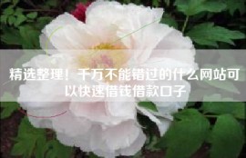 精选整理！千万不能错过的什么网站可以快速借钱借款口子