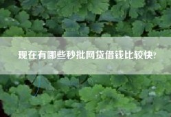 现在有哪些秒批网贷借钱比较快?