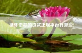 循环借款的贷款正规平台有哪些?