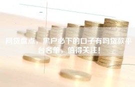网贷盘点，黑户必下的口子有吗贷款平台名单，值得关注！