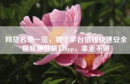 网贷名单一览，哪个平台借钱快速安全容易通过贷款app，拿走不谢