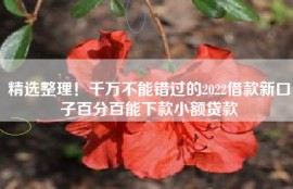 精选整理！千万不能错过的2022借款新口子百分百能下款小额贷款