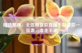 精选整理，无信用贷款直接下款贷款一览表，拿走不谢