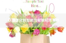 以数字化转型助力低碳经济发展