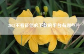 2022不看征信必下款的平台有哪些?