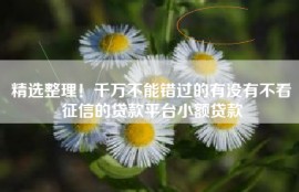 精选整理！千万不能错过的有没有不看征信的贷款平台小额贷款