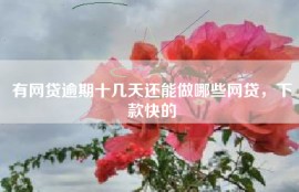 有网贷逾期十几天还能做哪些网贷，下款快的