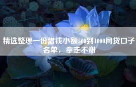 精选整理一份借钱小额500到1000网贷口子名单，拿走不谢