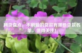网贷盘点，不刷脸的贷款有哪些贷款名单，值得关注！
