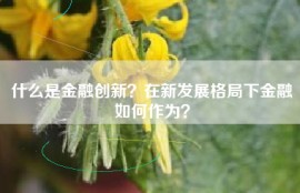 什么是金融创新？在新发展格局下金融如何作为？