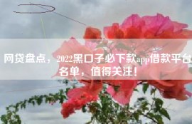 网贷盘点，2022黑口子必下款app借款平台名单，值得关注！