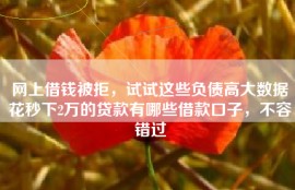 网上借钱被拒，试试这些负债高大数据花秒下2万的贷款有哪些借款口子，不容错过