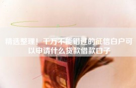 精选整理！千万不能错过的征信白户可以申请什么贷款借款口子