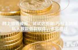 网上借钱被拒，试试这些借1万马上到账私人放款借款软件，不容错过