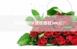 急用如何快速钱借款1000元？