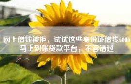 网上借钱被拒，试试这些身份证借钱5000马上到账贷款平台，不容错过