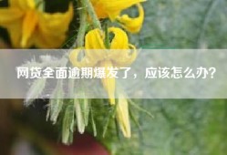 网贷全面逾期爆发了，应该怎么办？