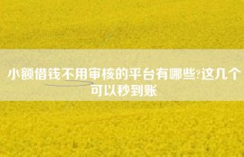 小额借钱不用审核的平台有哪些?这几个可以秒到账