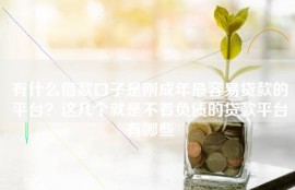 有什么借款口子是刚成年最容易贷款的平台？这几个就是不看负债的贷款平台有哪些