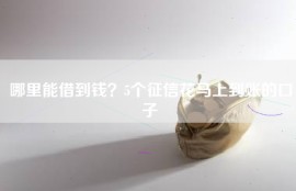 哪里能借到钱？5个征信花马上到账的口子