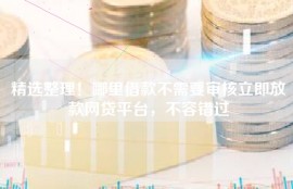 精选整理！哪里借款不需要审核立即放款网贷平台，不容错过