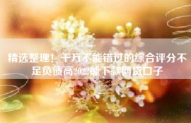 精选整理！千万不能错过的综合评分不足负债高2022能下款网贷口子