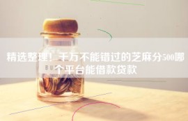 精选整理！千万不能错过的芝麻分500哪个平台能借款贷款