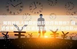 哪有纯私人放款的借款软件有哪些？精选整理分享真正逾期也能贷的平台贷款app