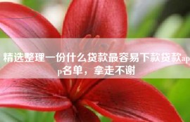 精选整理一份什么贷款最容易下款贷款app名单，拿走不谢