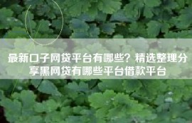 最新口子网贷平台有哪些？精选整理分享黑网贷有哪些平台借款平台