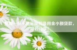 整理一份不用审核的备用金小额贷款，简云分享！