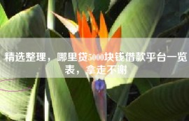 精选整理，哪里贷5000块钱借款平台一览表，拿走不谢