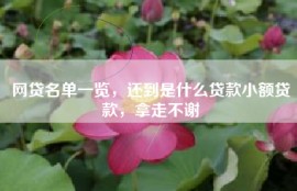 网贷名单一览，还到是什么贷款小额贷款，拿走不谢