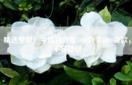 精选整理！今借到额度7000到手5000贷款，不容错过