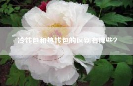 冷钱包和热钱包的区别有哪些？