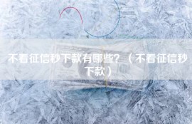 不看征信秒下款有哪些？（不看征信秒下款）