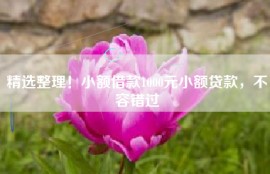 精选整理！小额借款1000元小额贷款，不容错过
