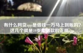有什么网贷app是借钱一万马上到账的？这几个就是19岁能借款的正规app