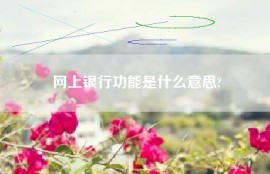 网上银行功能是什么意思?
