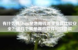有什么网贷app是急用钱哪里贷款比较安全？这几个就是哪些软件可以借款