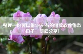 整理一份可以借500左右的借款软件借款口子，简云分享！