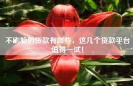 不刷脸的贷款有哪些，这几个贷款平台值得一试！