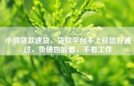小额贷款速贷，贷款平台不上征信好通过，负债也能借，不看工作